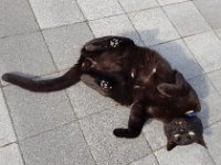 20180609 081530