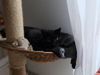 DSCF3384